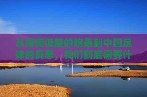 从高薪低能的炮轰到中国足球的反思,我们到底需要什么?