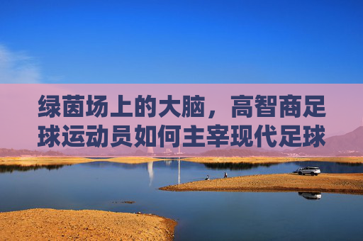 绿茵场上的大脑，高智商足球运动员如何主宰现代足球