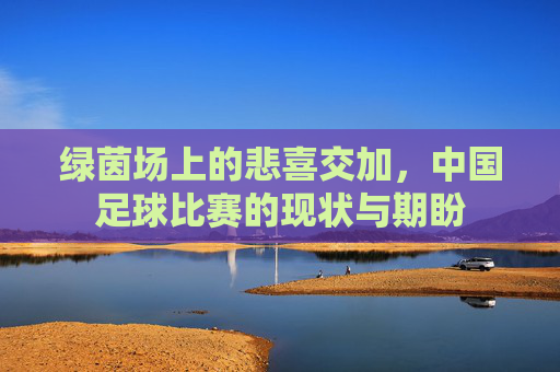 绿茵场上的悲喜交加,中国足球比赛的现状与期盼