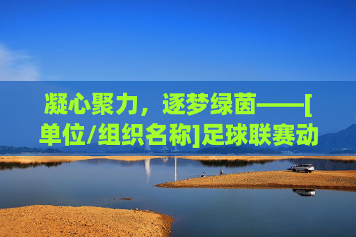凝心聚力，逐梦绿茵——[单位/组织名称]足球联赛动员大会圆满召开