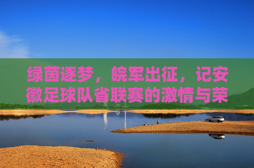 绿茵逐梦，皖军出征，记安徽足球队省联赛的激情与荣光