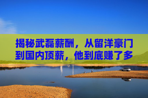 揭秘武磊薪酬，从留洋豪门到国内顶薪，他到底赚了多少钱？