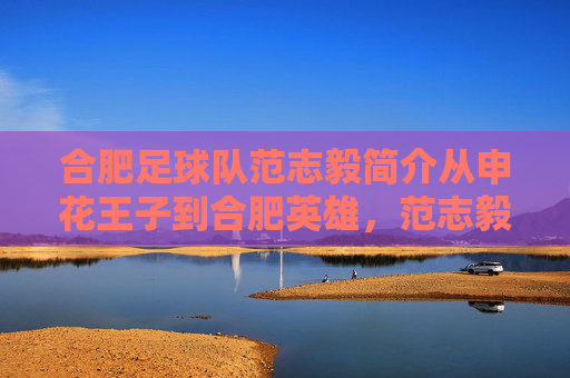 合肥足球队范志毅简介从申花王子到合肥英雄,范志毅的绿茵传奇与桂冠岁月
