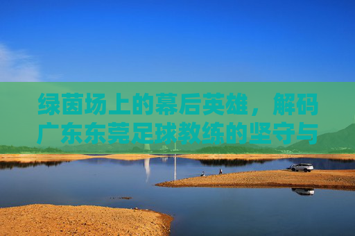 绿茵场上的幕后英雄，解码广东东莞足球教练的坚守与匠心