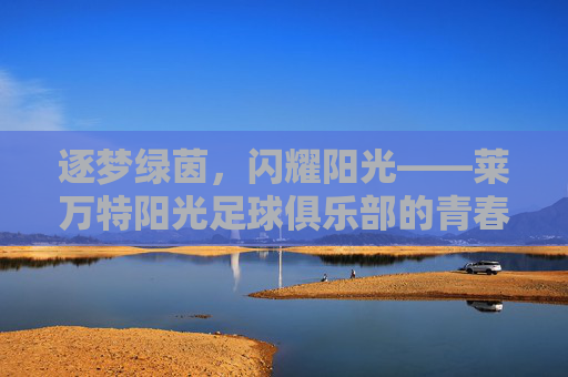逐梦绿茵,闪耀阳光——莱万特阳光足球俱乐部的青春之歌