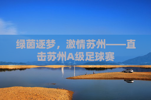 绿茵逐梦，激情苏州——直击苏州A级足球赛