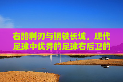 右路利刃与钢铁长城,现代足球中优秀的足球右后卫的进化
