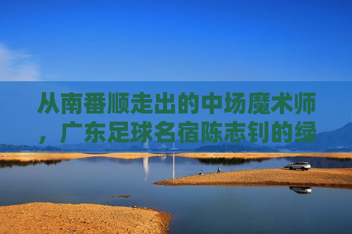 从南番顺走出的中场魔术师，广东足球名宿陈志钊的绿茵人生