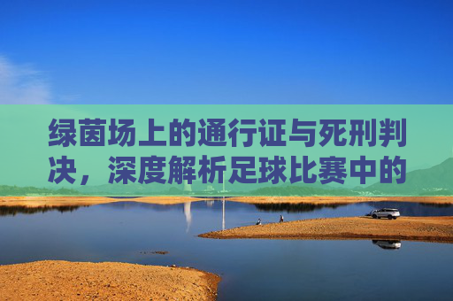 绿茵场上的通行证与死刑判决,深度解析足球比赛中的黄牌与红牌