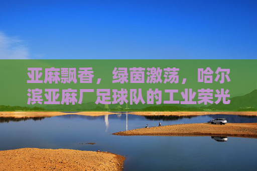 亚麻飘香,绿茵激荡,哈尔滨亚麻厂足球队的工业荣光与时代记忆