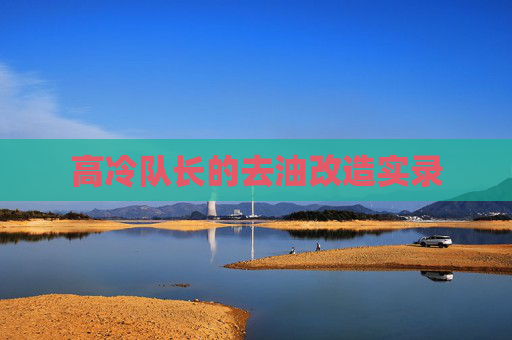高冷队长的去油改造实录