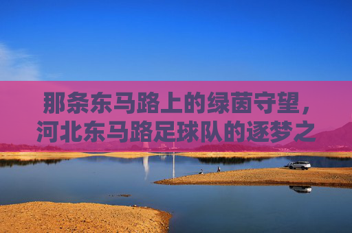那条东马路上的绿茵守望，河北东马路足球队的逐梦之路