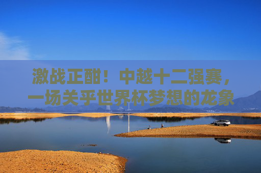 激战正酣!中越十二强赛,一场关乎世界杯梦想的龙象之争
