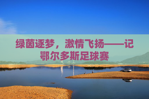 绿茵逐梦,激情飞扬——记鄂尔多斯足球赛