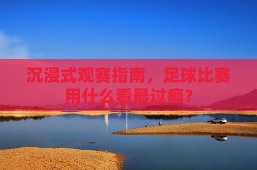 沉浸式观赛指南，足球比赛用什么看最过瘾？