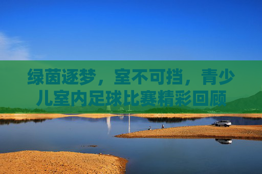 绿茵逐梦，室不可挡，青少儿室内足球比赛精彩回顾
