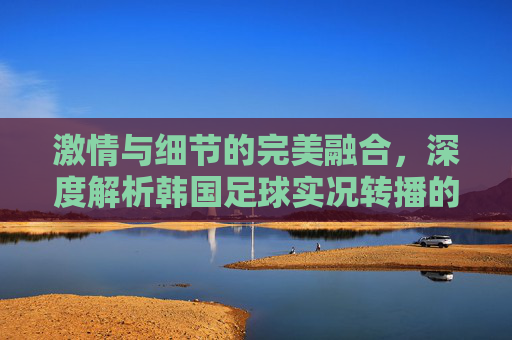 激情与细节的完美融合,深度解析韩国足球实况转播的独特魅力