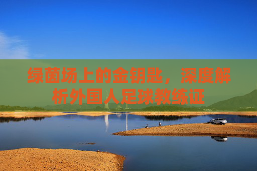 绿茵场上的金钥匙,深度解析外国人足球教练证