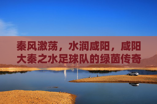 秦风激荡,水润咸阳,咸阳大秦之水足球队的绿茵传奇