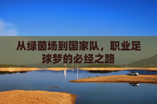 从绿茵场到国家队，职业足球梦的必经之路