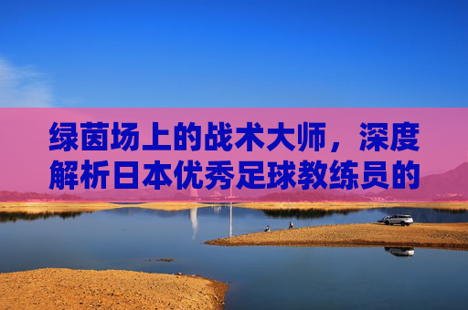 绿茵场上的战术大师,深度解析日本优秀足球教练员的培养与智慧