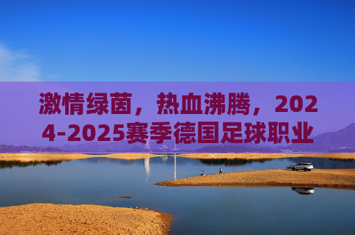 激情绿茵，热血沸腾，2024-2025赛季德国足球职业比赛赛程全解析