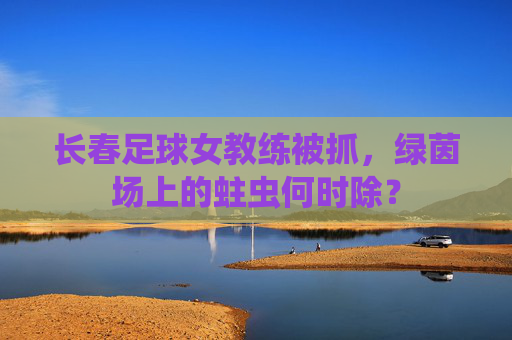 长春足球女教练被抓，绿茵场上的蛀虫何时除？