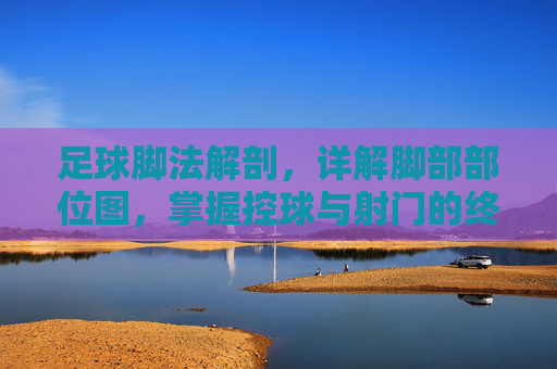 足球脚法解剖，详解脚部部位图，掌握控球与射门的终极秘籍