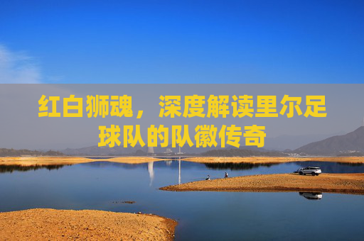 红白狮魂,深度解读里尔足球队的队徽传奇