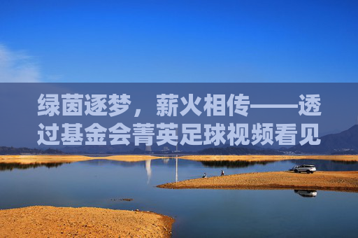 绿茵逐梦,薪火相传——透过基金会菁英足球视频看见成长的力量