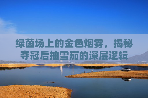 绿茵场上的金色烟雾,揭秘夺冠后抽雪茄的深层逻辑