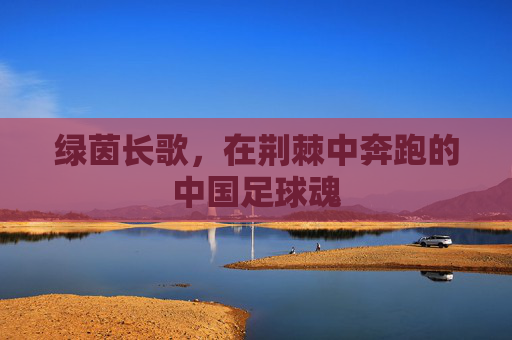 绿茵长歌，在荆棘中奔跑的中国足球魂