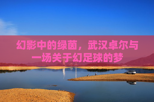 幻影中的绿茵,武汉卓尔与一场关于幻足球的梦