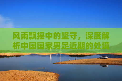 风雨飘摇中的坚守,深度解析中国国家男足近期的处境与挑战