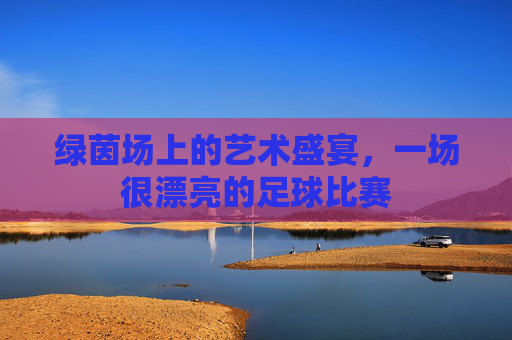 绿茵场上的艺术盛宴,一场很漂亮的足球比赛