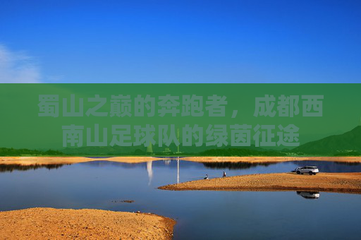 蜀山之巅的奔跑者,成都西南山足球队的绿茵征途