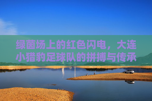 绿茵场上的红色闪电,大连小猎豹足球队的拼搏与传承