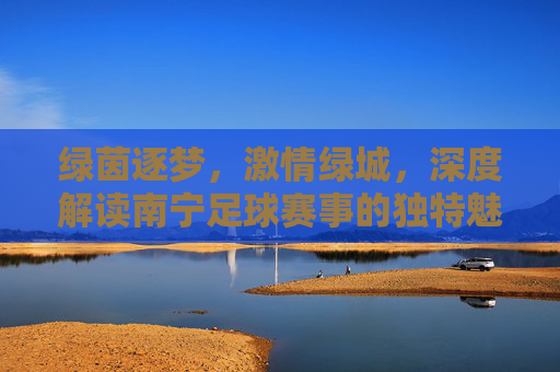 绿茵逐梦,激情绿城,深度解读南宁足球赛事的独特魅力