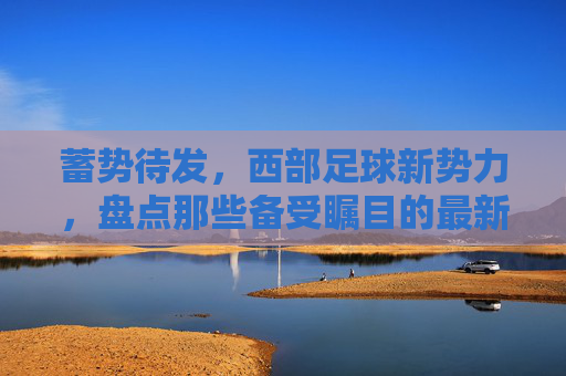 蓄势待发,西部足球新势力,盘点那些备受瞩目的最新足球队员