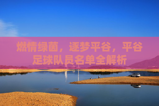 燃情绿茵,逐梦平谷,平谷足球队员名单全解析