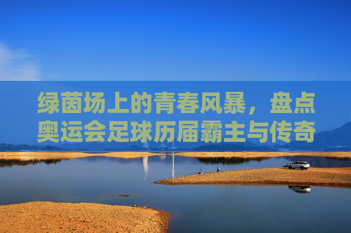 绿茵场上的青春风暴，盘点奥运会足球历届霸主与传奇