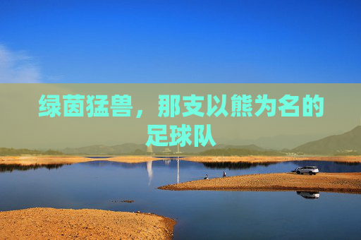 绿茵猛兽，那支以熊为名的足球队