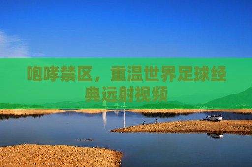 咆哮禁区,重温世界足球经典远射视频