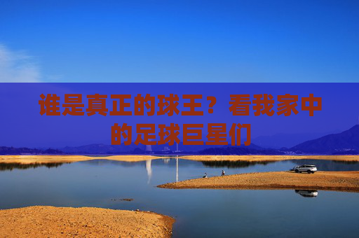 谁是真正的球王?看我家中的足球巨星们