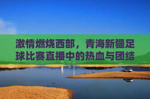 激情燃烧西部,青海新疆足球比赛直播中的热血与团结