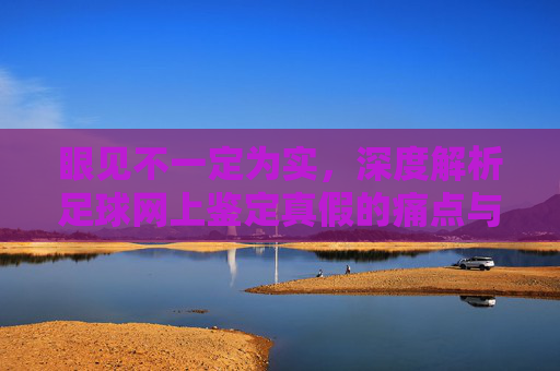 眼见不一定为实,深度解析足球网上鉴定真假的痛点与真相