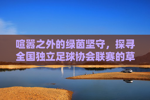 喧嚣之外的绿茵坚守,探寻全国独立足球协会联赛的草根魅力