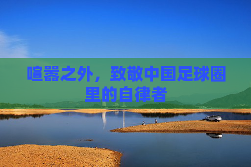 喧嚣之外,致敬中国足球圈里的自律者