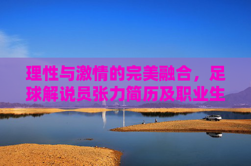 理性与激情的完美融合，足球解说员张力简历及职业生涯回顾