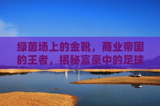 绿茵场上的金靴，商业帝国的王者，揭秘富豪中的足球明星